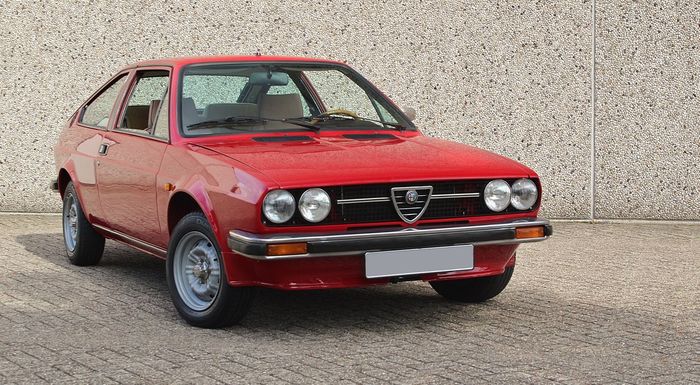 download Alfa Romeo Alfasud able workshop manual