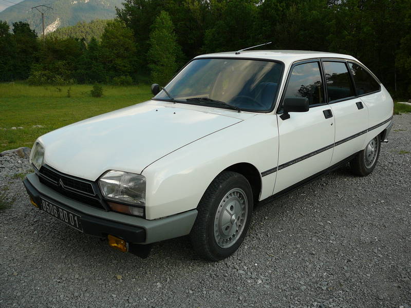 download Citroen GS GSA workshop manual