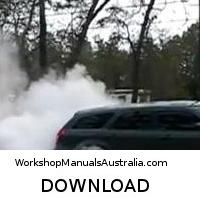 workshop manual