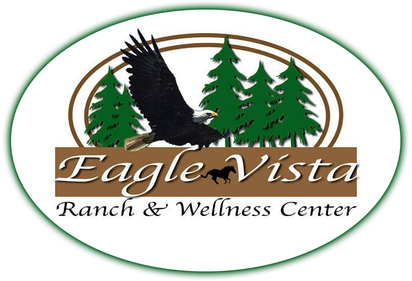download Eagle Vista workshop manual