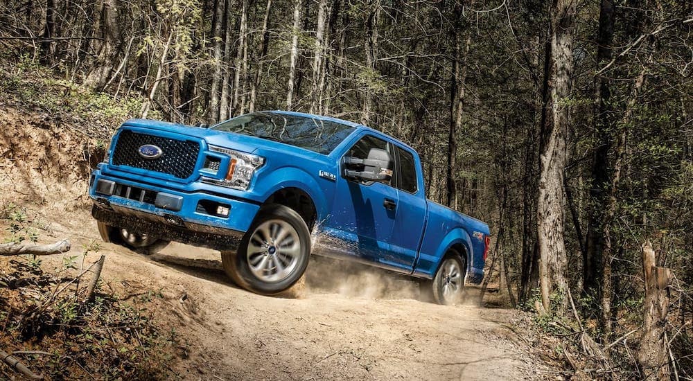 download FORD F150 able workshop manual