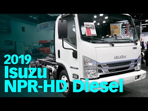 download Isuzu N workshop manual