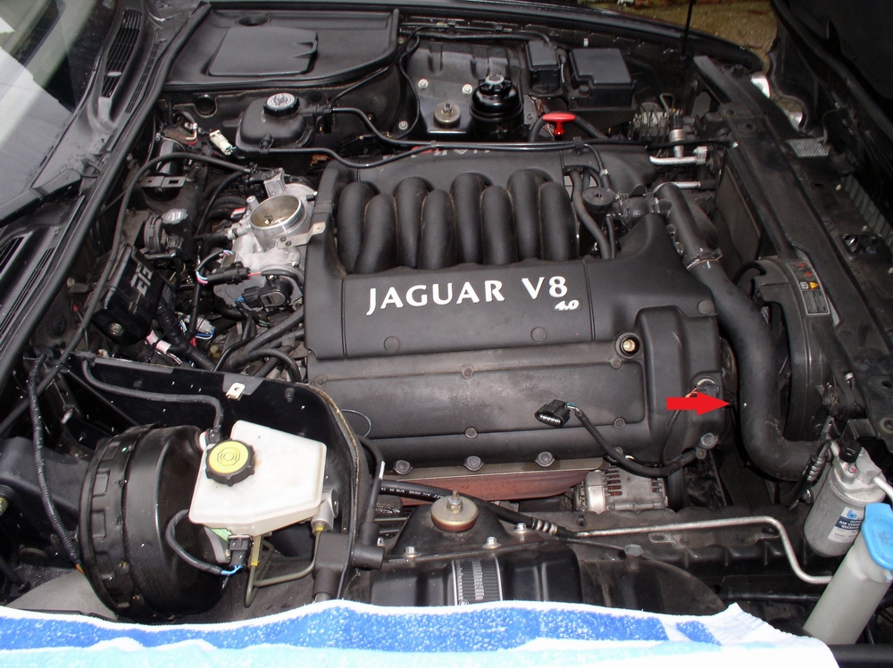 download JAGUAR XK8Models X100 workshop manual