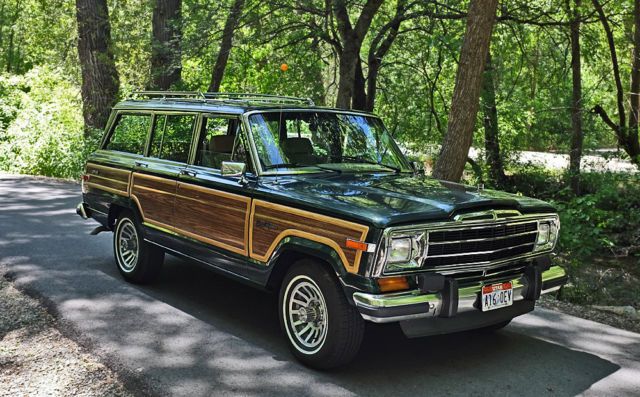 download Jeep Wagoneer workshop manual