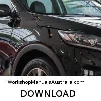 workshop manual