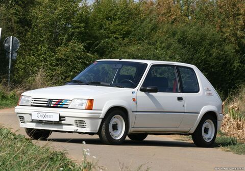 download Peugeot 205 workshop manual