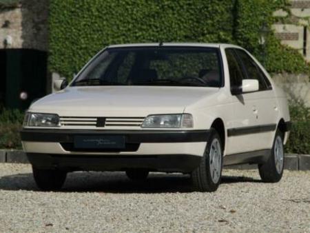 download Peugeot 405 workshop manual