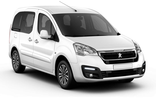 download Peugeot Partner Van workshop manual