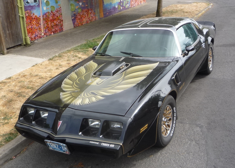 download Pontiac Firebird workshop manual