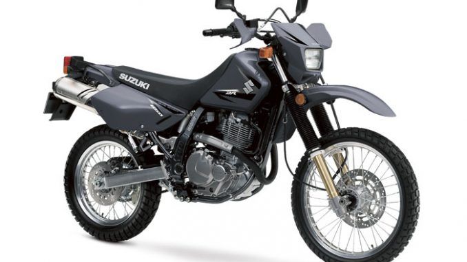 download Suzuki Dr650Se Motorcycle able workshop manual